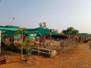 Gaushala and Cow Dung-Based Product Tourism
